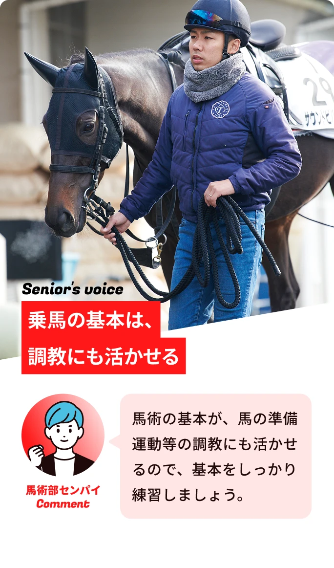 乗馬の基本は、調教にも活かせる