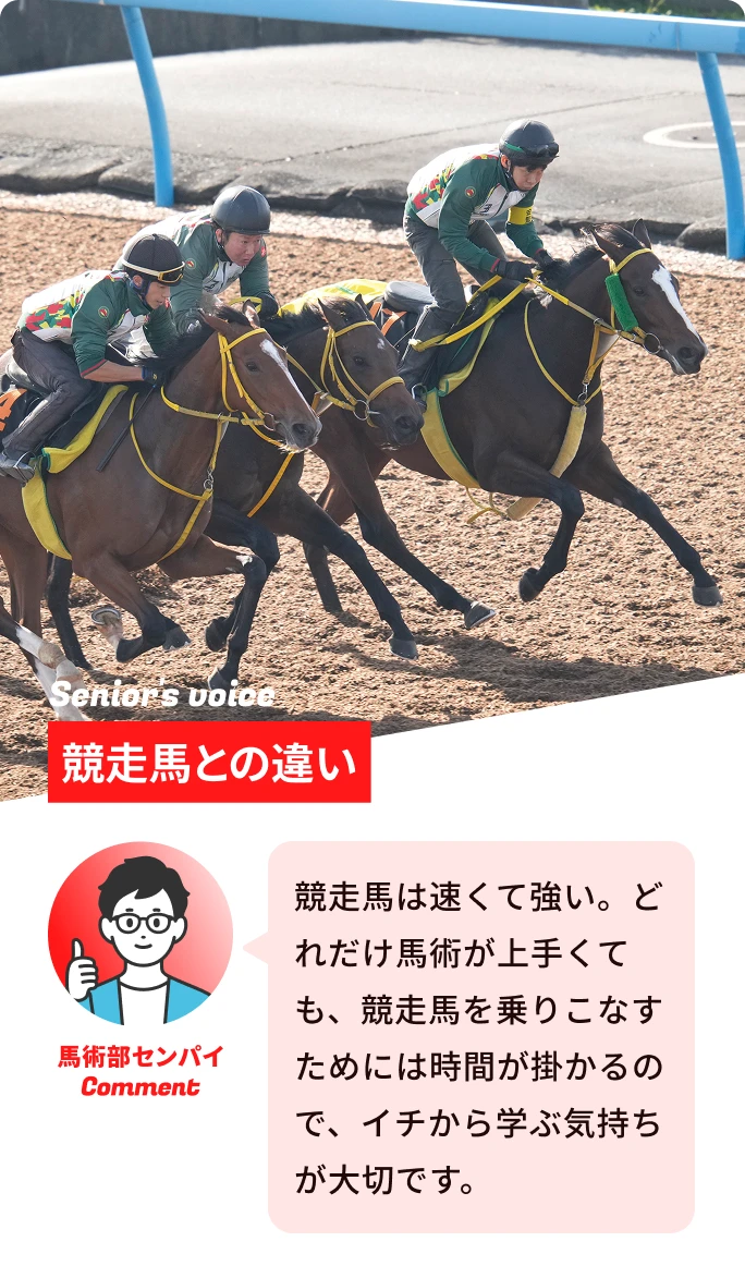 競走馬との違い